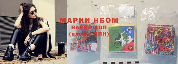 крисы Алексин