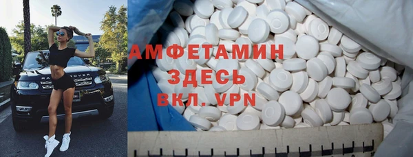 крисы Алексин